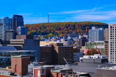 Montreal, Kanada 'daki Mount Royal Park' ta sonbahar renkleri