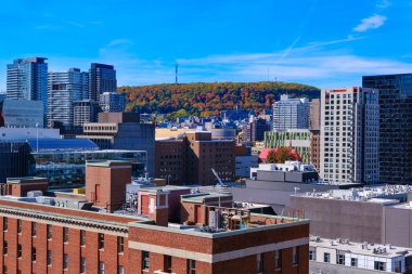 Montreal, Kanada 'daki Mount Royal Park' ta sonbahar renkleri