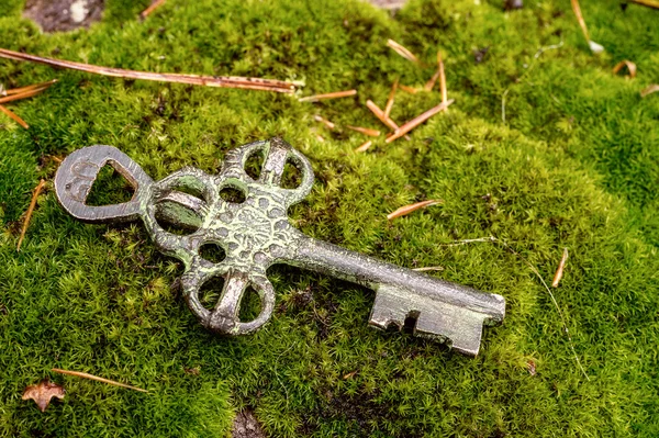 Stary klucz do skarbu — Zdjęcie stockowe