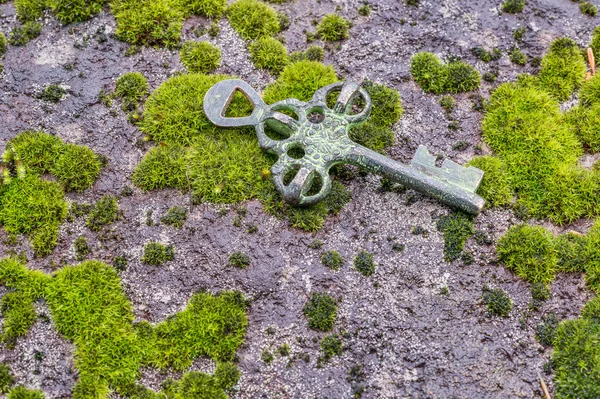 Old treasure key on green moss — Stock Photo, Image