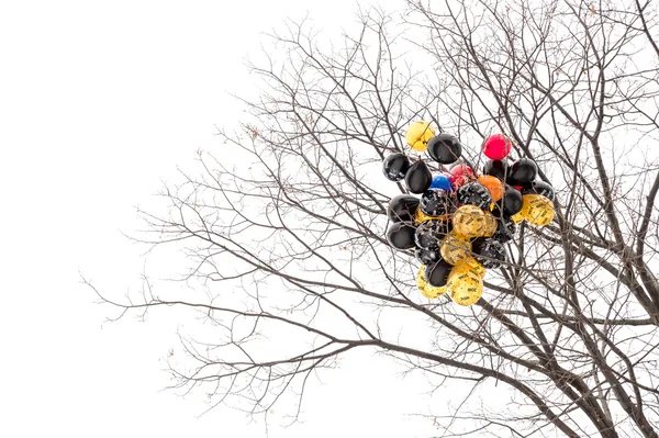 Luftballons stecken im Baum fest — Stockfoto