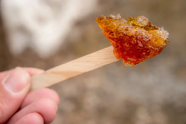 Maple taffy on a stick during sugar shack period — Stock Photo, Image