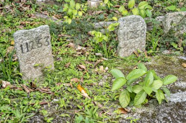 Mezarlık hong Kong, Çin