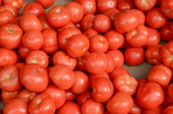 Tomates Frescos Vermelhos Maduros Alimentos — Fotografia de Stock