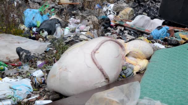 Território Descarga Com Sacos Lixo Conceito Poluição — Vídeo de Stock