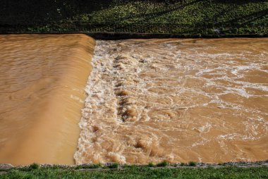 Çimenli kirli nehir suyu akıntısı