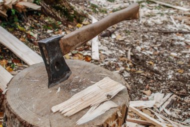 Baltayla ağaç kesme sandığı.