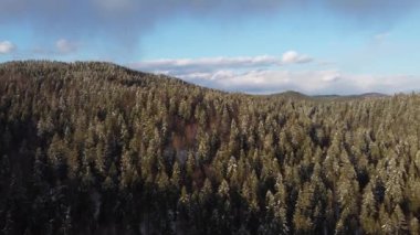 Çamlarla kaplı güzel dağ manzarası