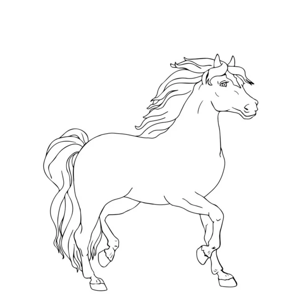 Desenho de Cabeça de cavalo para colorir