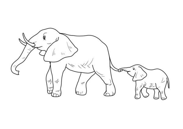 Elefant Und Elefantenbaby Ausmalbilder Schwarz Weiße Zeichnung Auf Weißem Hintergrund — Stockvektor