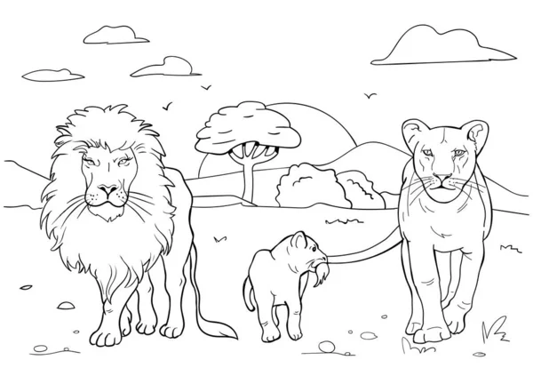 Realistische Löwen Malvorlagen — Stockvektor
