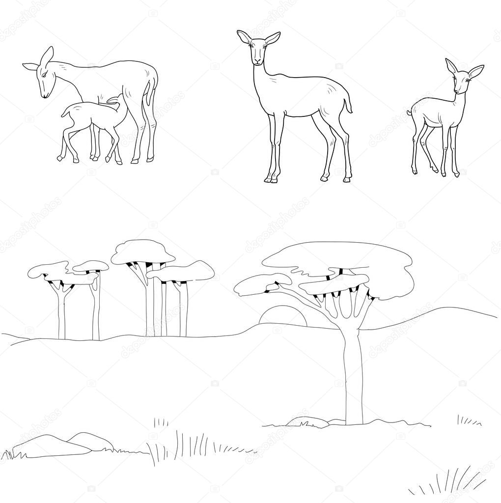 Sketch of the African savanna. Vector set of antelopes