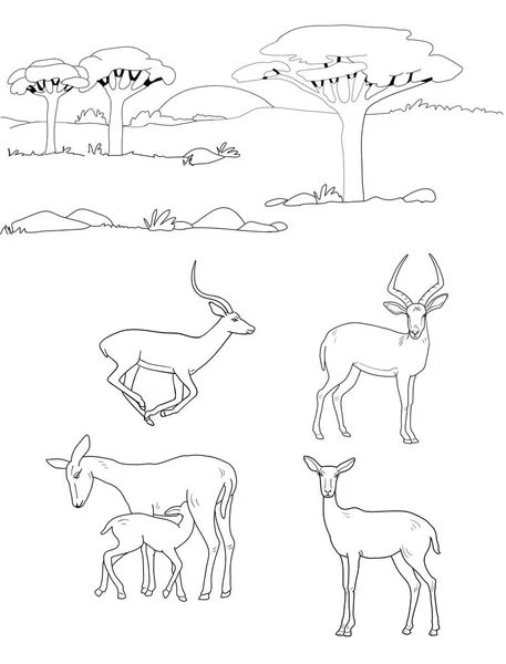 Sketch African Savanna Conjunto Vectorial Antílopes — Vector de stock