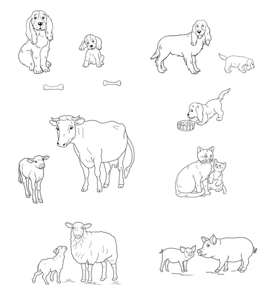 幼小的动物和成年动物 手绘素描风格奶牛 猫等一套 白色背景上孤立的图标 矢量等高线说明 — 图库矢量图片