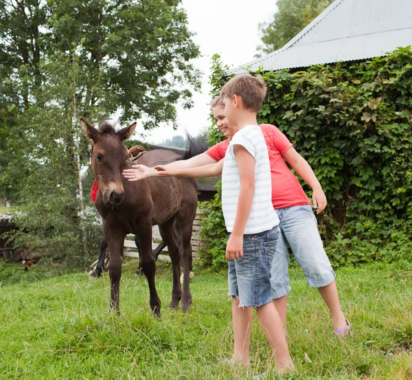 Kinderen streelde paard — Stockfoto