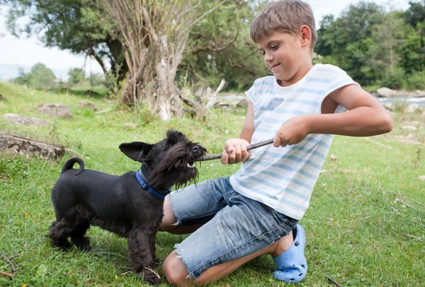 Boy and dog — Stock Photo, Image