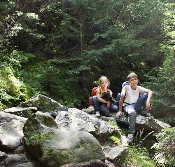 Niños en el bosque — Foto de Stock