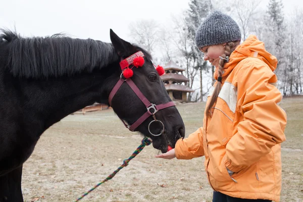 Jong meisje een paard voederen — Stockfoto