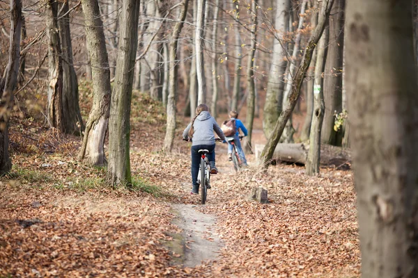 Zwei Kinder auf Fahrrädern im Herbstwald lizenzfreie Stockfotos