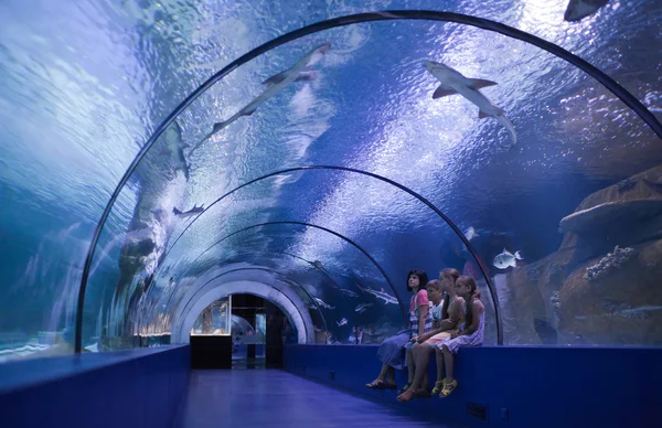 Family in a water tunnel — Stock Photo, Image