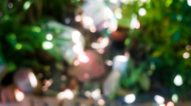 soyut arkaplan için yeşil bahçede odak bulanıklığı, bahçedeki spot ışığı bokeh