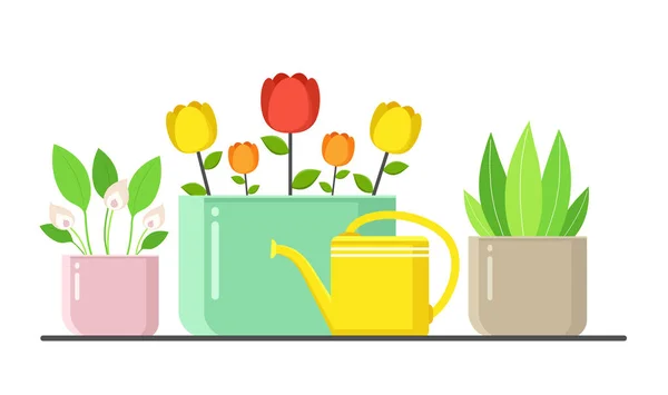 Plantas Macetas Con Regadera Decoración Verde Hogar Urbano Con Flores — Vector de stock