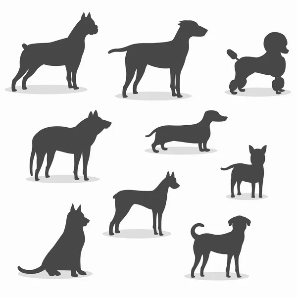 Perros iconos conjunto de diferentes razas — Vector de stock