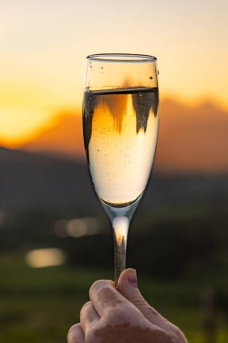 Gün batımında kadeh kaldırırken şampanya kadehi ve köpüklü şarap. Yeni yıl ya da tatil için kutlama ve özel durum kavramı.