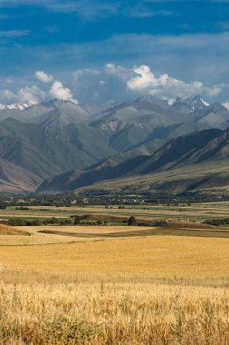 Altın buğday tarlası önplanda görkemli dağ sıraları ve berrak mavi gökyüzünün altında tüylü bulutlarla birlikte uzak bir köy. Tarım ve doğa kavramı için kırsal alan.