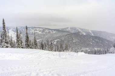 Karlı Sheregesh kayak merkezinin panoramik manzarası. Buzlu ağaçlar ve dağ kayağı yamacı. Kış doğası ve seyahat kavramı. Sektör A