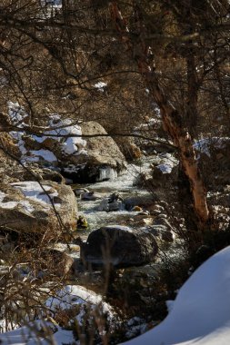 Kışın karla kaplı kayalıkların ve ağaçların arasında kıvrılan dağ deresi. Soğuk doğal manzara arka planı. Doğa sahnesi.