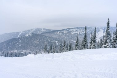 Kar, sonsuz yeşil ağaçlarla ve bulutlu kış gökyüzünün altındaki uzak dağlarla kaplıydı. Kayak ve kış sporları için doğal manzara.