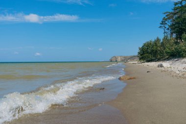 Temiz göl suyu, kumlu Baikalsky sahilini bir sıra yeşil ağaçla nazikçe yıkar. Seyahat broşürleri için Sibirya 'daki Olkhon adasının doğa manzarası..