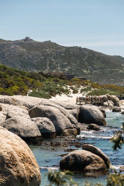 Büyük granit kayalar arasında vahşi yaşamı gözlemleyen insanlarla dolu Güney Afrika kıyı manzarası. Yaz tatili deniz manzarası.