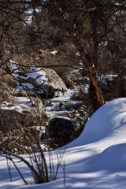 Dağ deresi karla kaplı kayalar ve çıplak ağaçlar arasında akıyor. Seyahat ve macera için doğal kış manzarası.