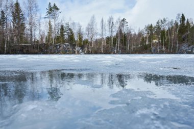 Ruskeala Dağ Parkı 'ndaki çıplak ağaçların ve yemyeşil ormanların yansımalarıyla bir göl yüzeyinde eriyen buz. Bahar doğası erime kavramı.