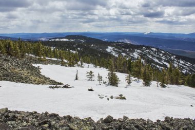 Yeşil çam ormanı ve bulutlu bir gökyüzünün altındaki kayalarla kaplı, karla kaplı bir dağ yamacının güzel panoramik manzarası. Bahar doğası manzarası.