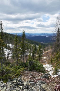 Bulutlu bir günde yeşil ağaçlarla kaplı orman vadisi. Seyahat ve macera için bahar doğası. Vahşi dağ yabanı.