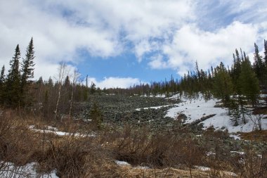 Eriyen karla kaplı ormanlık dağ yamacı ve bulutlu mavi gökyüzünün altında bir kaya tarlası. Bahar doğası ve vahşi doğa..