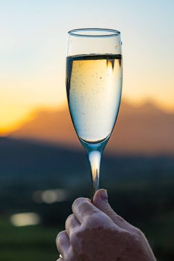 Güney Afrika, Cape Wineland 'da gün batımında elinde bir bardak köpüklü şarap tutan bir adamın eli. Seyahat için kutlama ve lüks içecek konsepti.
