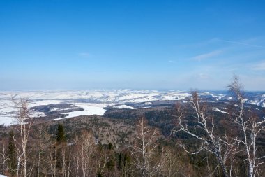 Açık mavi gökyüzünün altında, huş ağaçları ve karlı tepelerin uzandığı, doğal güzellikleri gösteren, kış manzarası..