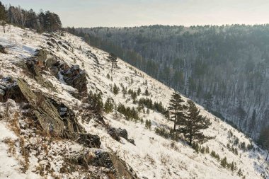 Sibirya Taiga ormanında kar yamaçları kaplıydı. Doğal güzelliği ve soğuk hava koşullarını gösteren kış manzarası.