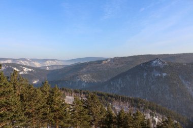 Krasnoyarsk Sütunları 'ndaki dağlık yamaçlarda bir kış ormanı manzarası seyahat için açık mavi gökyüzü olan ulusal park