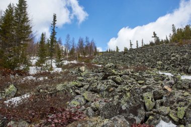 Güneşli bir günde, sürekli yeşil ağaçlarla ve kar parçalarıyla kayalık dağ manzarası. Seyahat ve doğa aktiviteleri için doğa ve vahşi doğa kavramı.