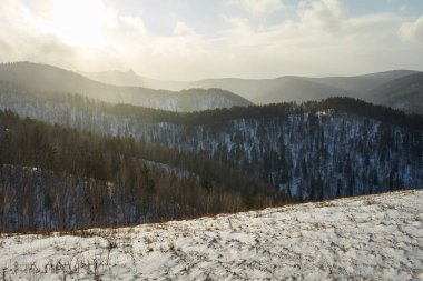 Kar, güneşli bir kış gökyüzünün altında orman tepeleriyle kaplıydı. Arka plan ya da doğa takvimi için ideal kış manzarası. Sakin mevsimlik sahne.