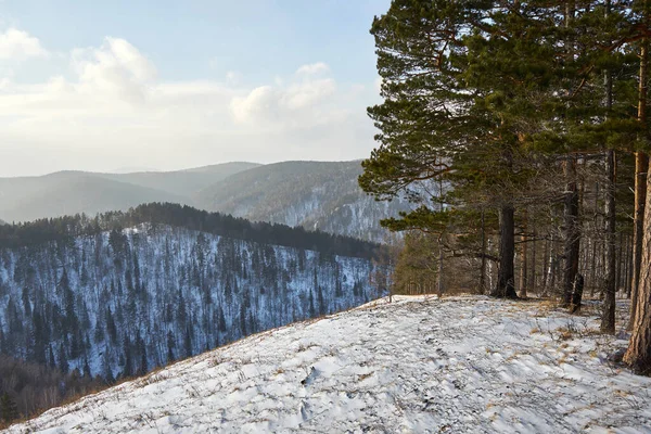 Karla kaplı çam ormanlarının kış manzarası ve uzak sıradağlar. Seyahat broşürü ve açık hava macerası için güzel bir doğa manzarası..
