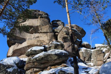 Krasnoyarsk Sütunları Ulusal Parkı 'ndaki kış manzarasını gösteren açık mavi gökyüzünün altında kısmen karla kaplı büyük taş oluşumları görülüyor..