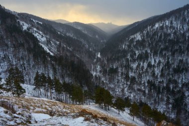 Karlı ve çam ağaçlı güzel dağ vadisi. Kış manzarası ve seyahat yeri doğa kavramı. Tatil geçmişi için açık hava manzarası. Merkez Krasnoyarsk Stolby Parkı 'na giden yol.
