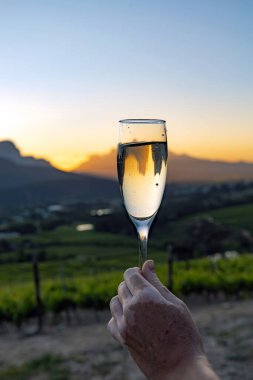 Gün batımı dağlarında elinde beyaz şarap kadehi tutan bir kadın. Stellenbosch şarap bölgesi üzüm bağı manzarası bayramı.
