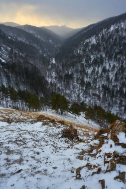 Orman ağaçları ve turuncu gökyüzü olan karlı dağlarda bir vadi. Seyahat ve doğa konsepti için kış manzarası. Vahşi manzaranın manzarası. Krasnoyarsk Stolby Parkı.